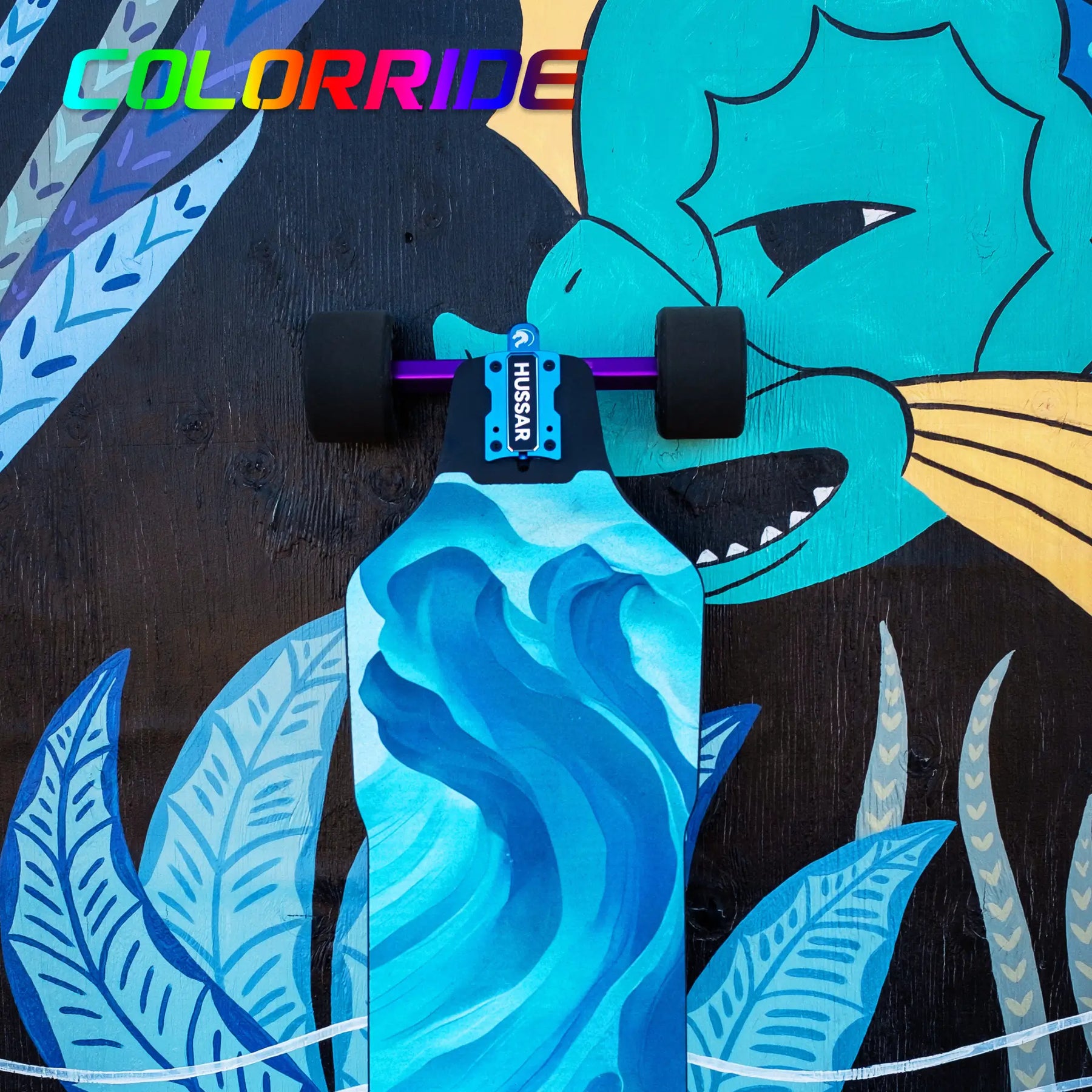 OMW Hussar Street/All-terrain Flexible Electric Skateboards with CNC Colored Trucks